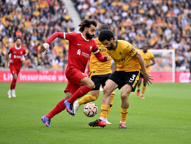 他们精准的 他们精准的