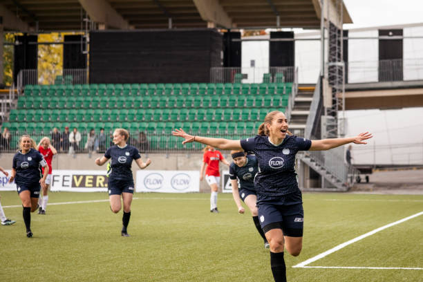 不同国家的 不同国家的