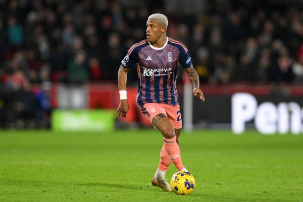 福法纳和马 福法纳和马